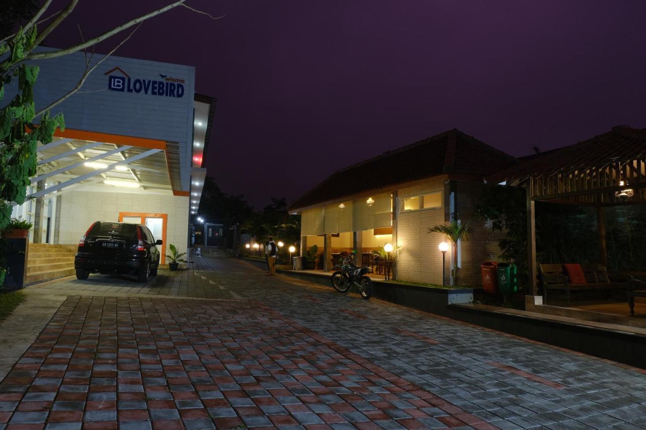 Wisma Lovebird Kalianget Экстерьер фото